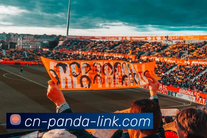 App Interface Preview