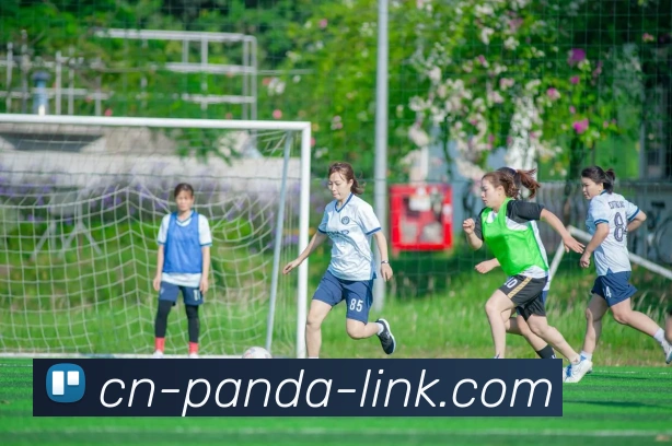 熊猫体育APP 封面图